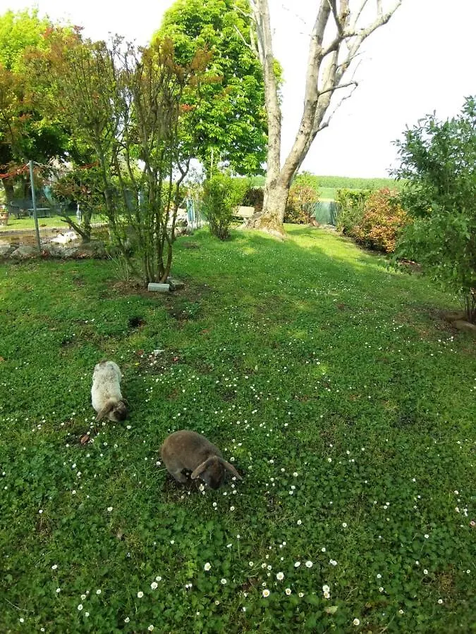 Agriturismo Corte Matiola Libiola 0*,
