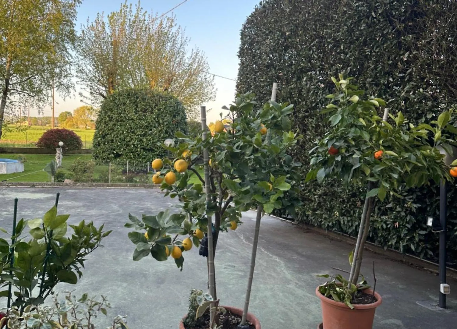 Farm stay Agriturismo Corte Matiola Libiola Italy